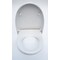 Eago EAGO R-340SEAT Replacement Soft Closing Toilet Seat for TB340 R-340SEAT - alternate 2